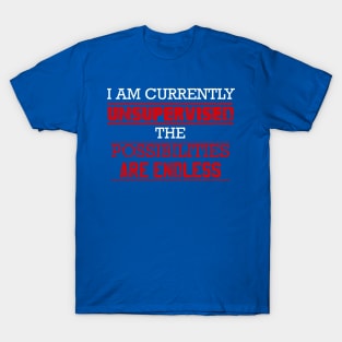 I Am Currently Unsupervised T-Shirt